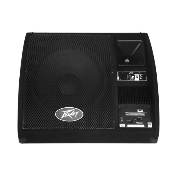 Peavey PV 15PM 15" Bi-Amp Powered Monitor