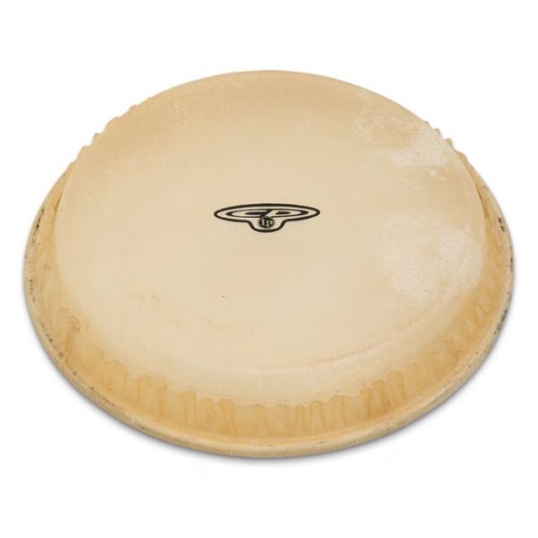 Latin Percussion CP221 6" Bongo Head Replacement