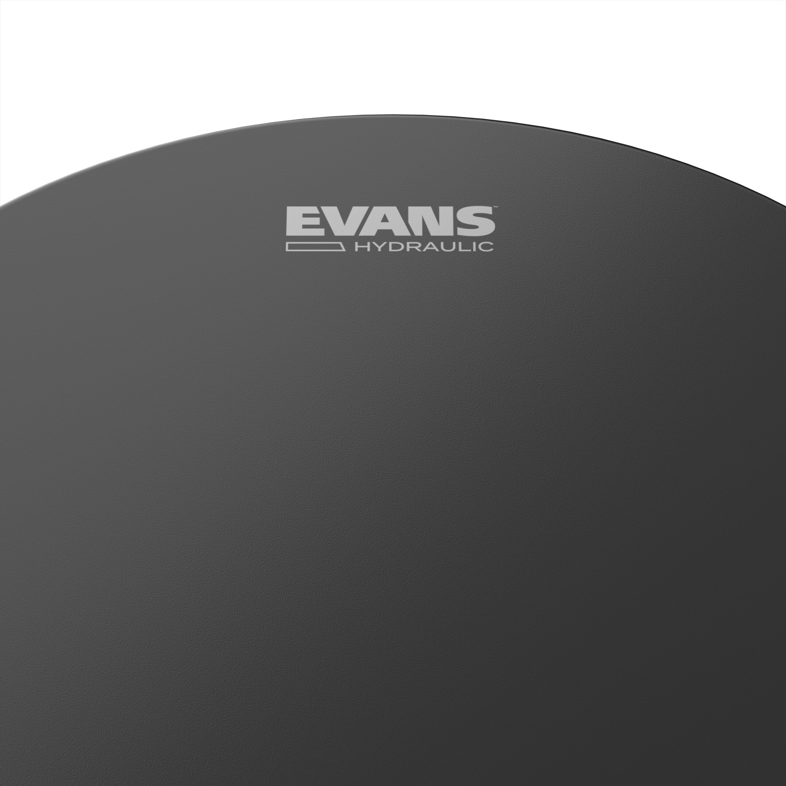 Evans Hydraulic Black Coated Snare Batter Head, 13"