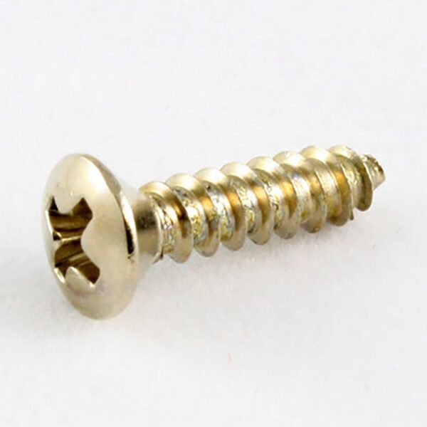 AllParts GS-0001-005 Stainless Pickguard Screws (20-Pack)