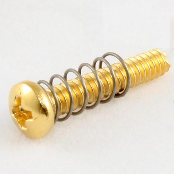 AllParts GS-0004-002 Gold Bridge Screws, Set of 6