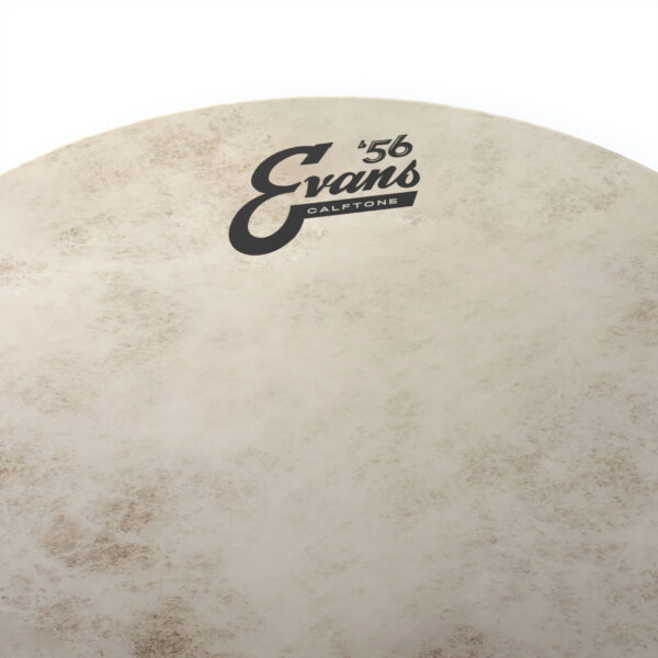 Evans Calftone Tom Batter Head, 10"