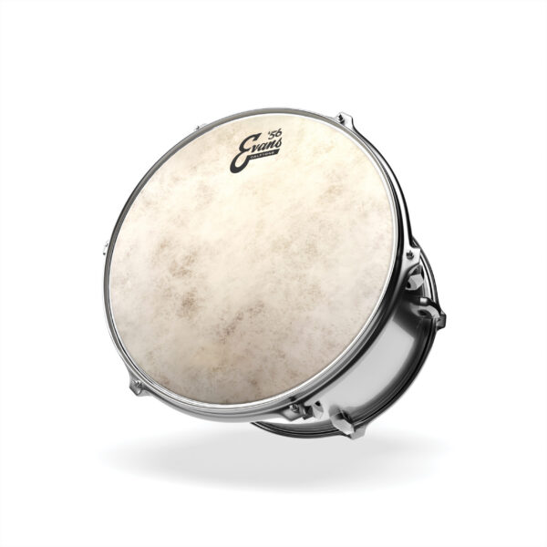 Evans Calftone 14" Tom Batter Head