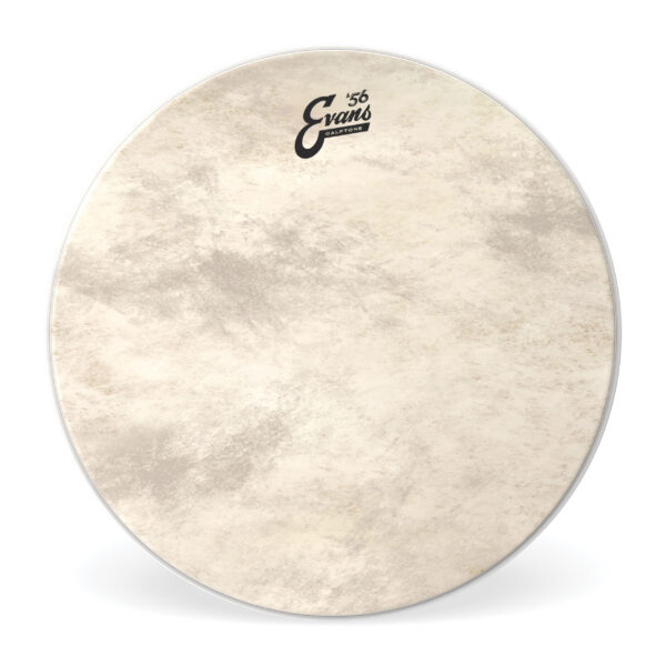Evans Calftone 16" Tom Drum Head